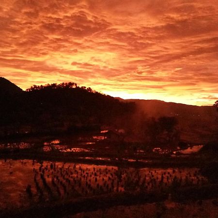 De Salak Homestay Bogor Bagian luar foto
