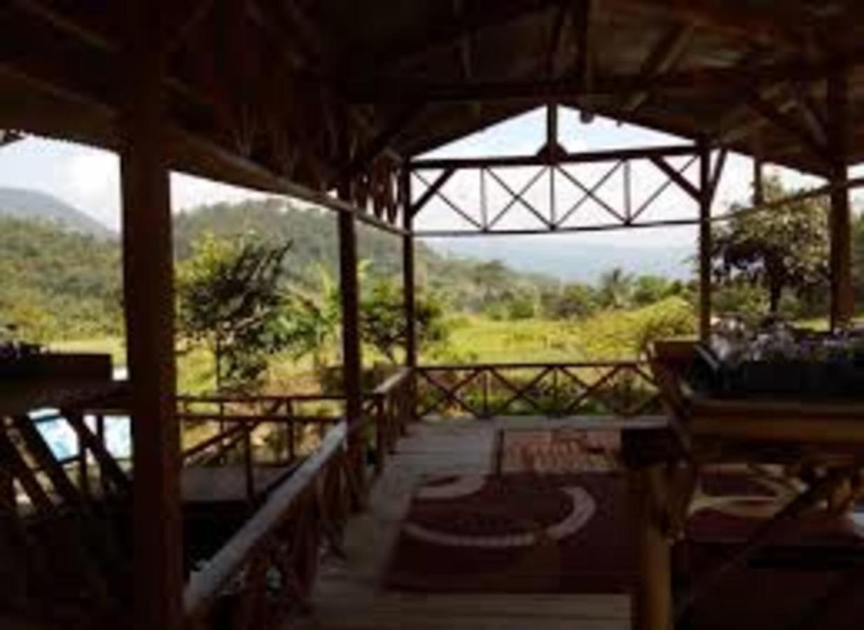 De Salak Homestay Bogor Bagian luar foto