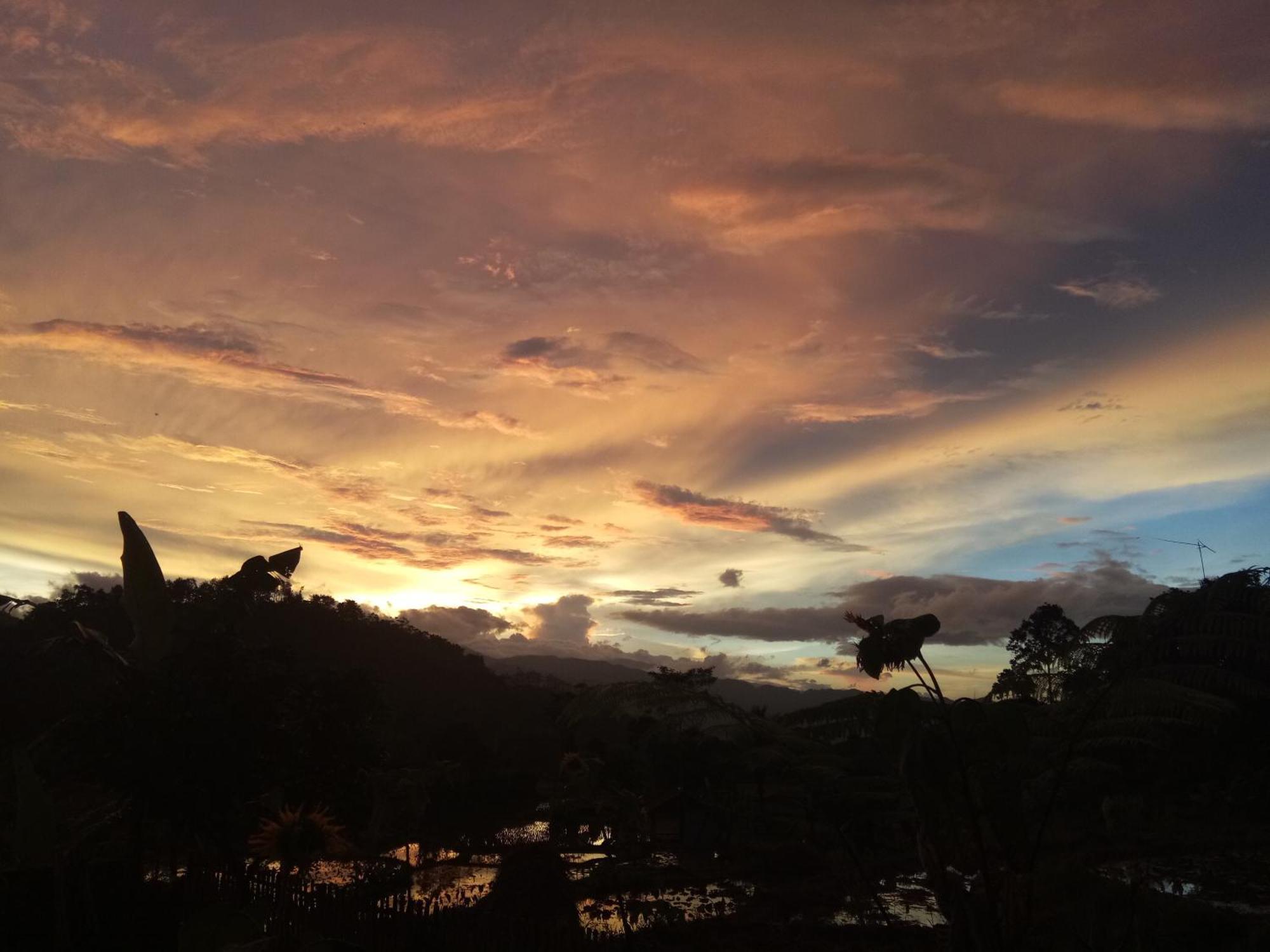 De Salak Homestay Bogor Bagian luar foto