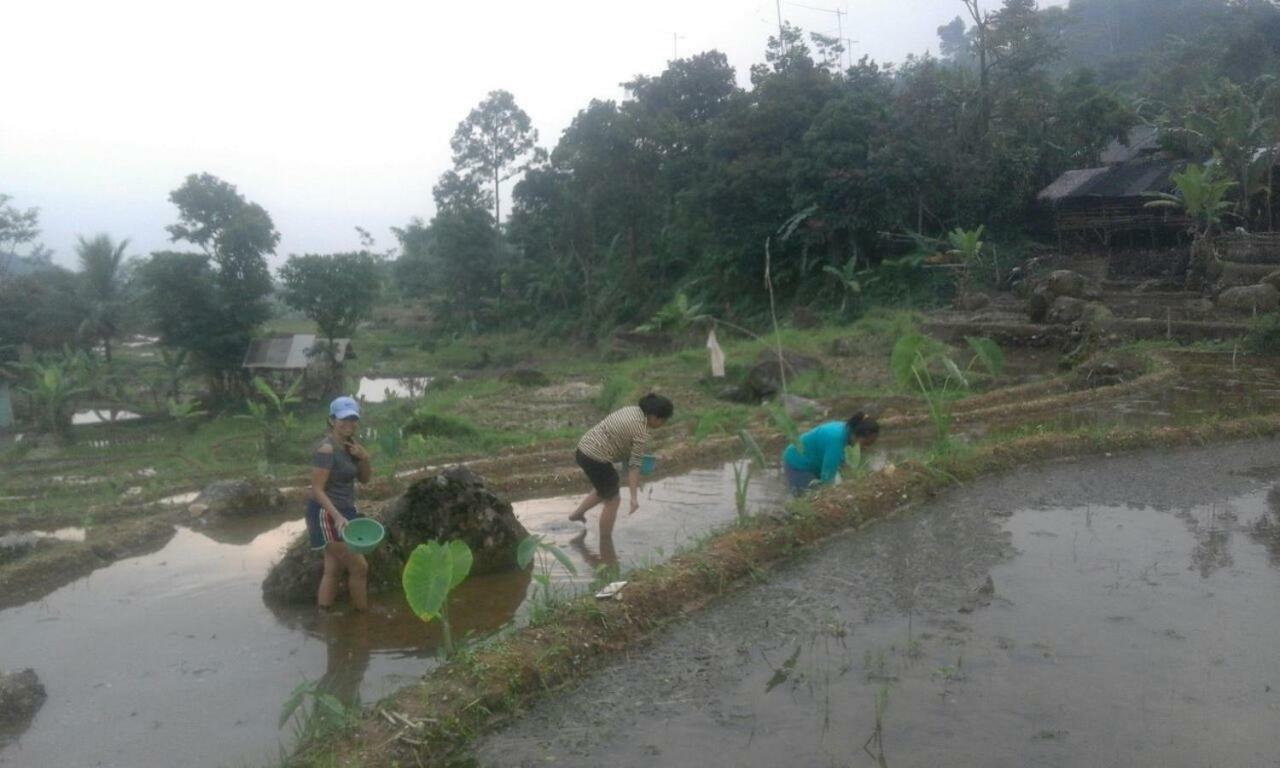 De Salak Homestay Bogor Bagian luar foto