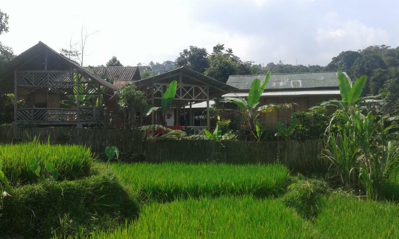 De Salak Homestay Bogor Bagian luar foto