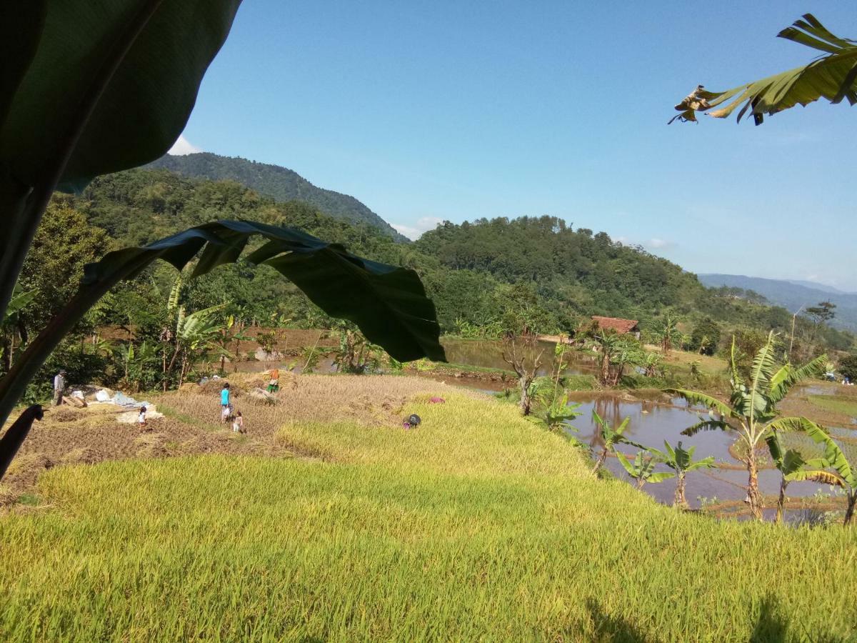 De Salak Homestay Bogor Bagian luar foto