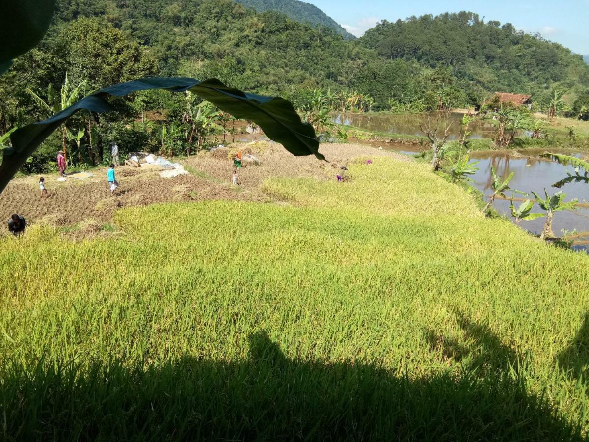 De Salak Homestay Bogor Bagian luar foto