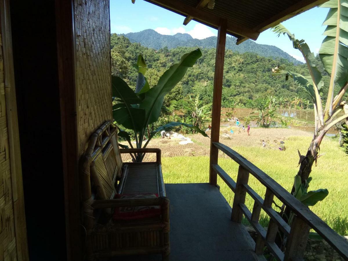 De Salak Homestay Bogor Bagian luar foto