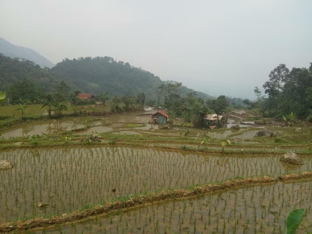 De Salak Homestay Bogor Bagian luar foto