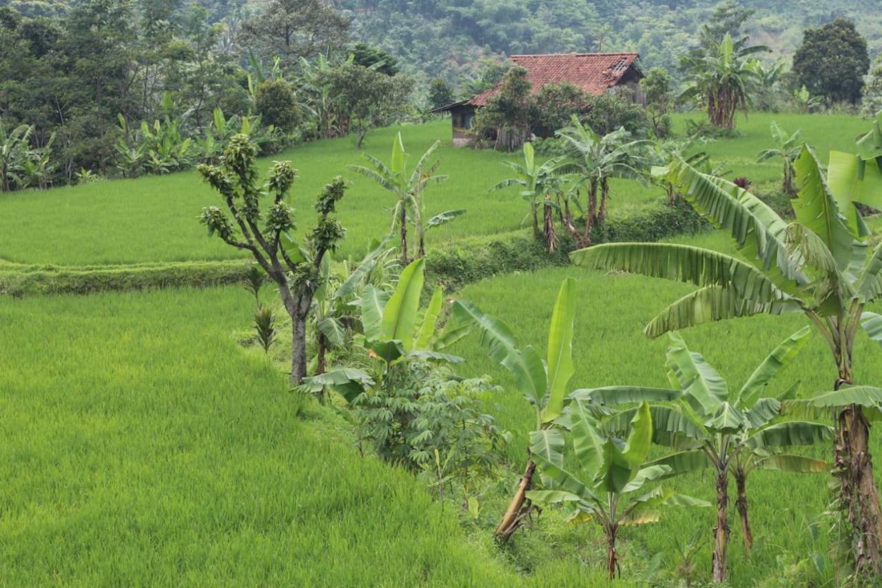 De Salak Homestay Bogor Bagian luar foto