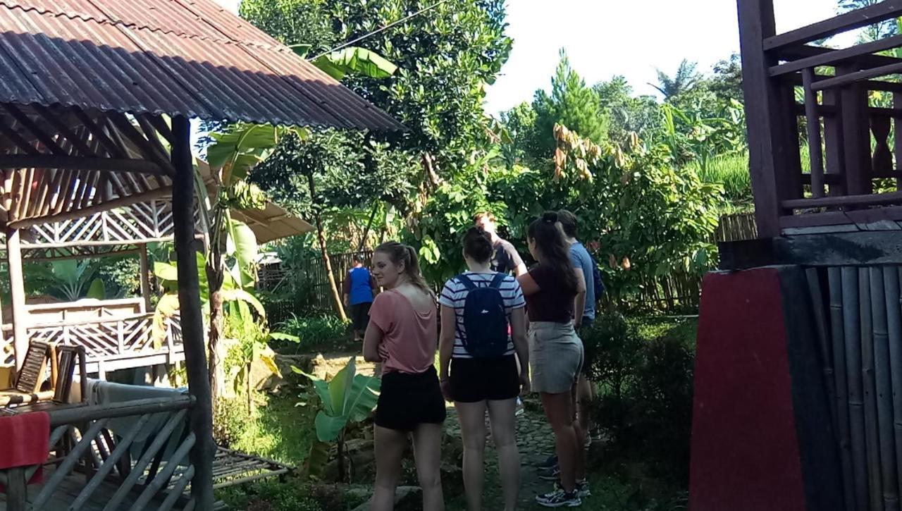 De Salak Homestay Bogor Bagian luar foto